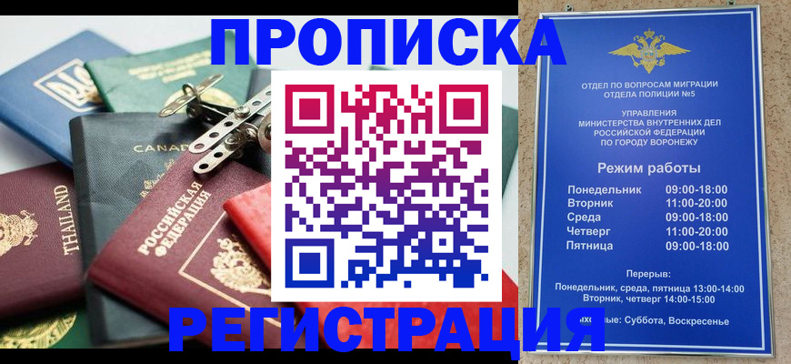 форма 3 в Камышлове